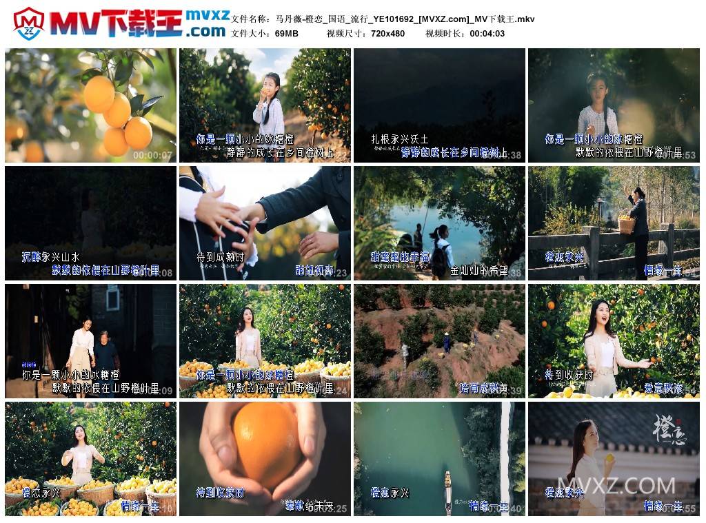 马丹薇-橙恋_国语_流行_YE101692